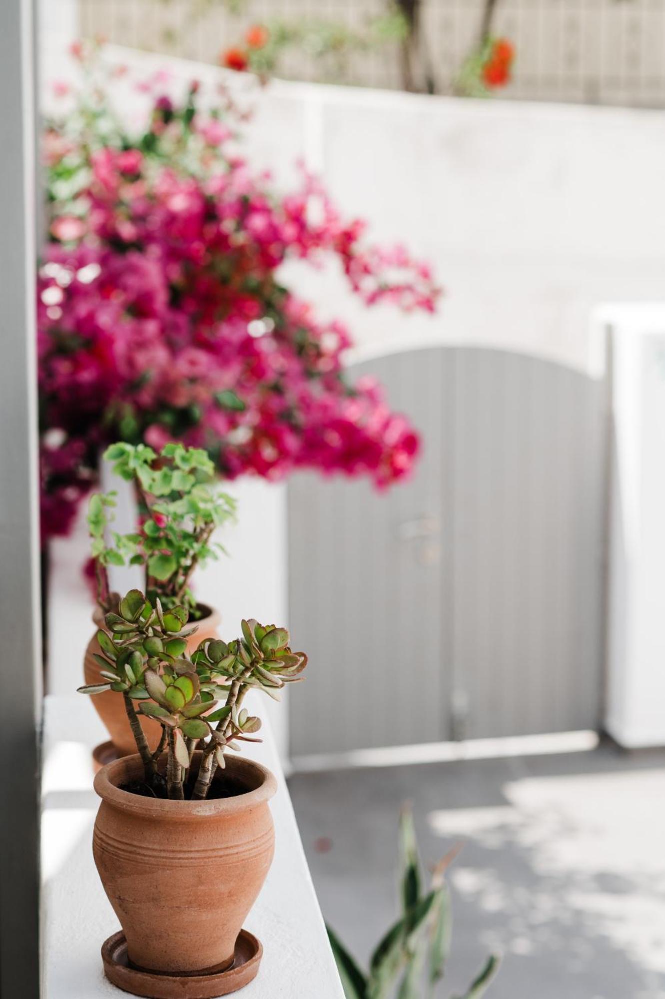 Amphitrite Suites Santorini Vóthon Buitenkant foto